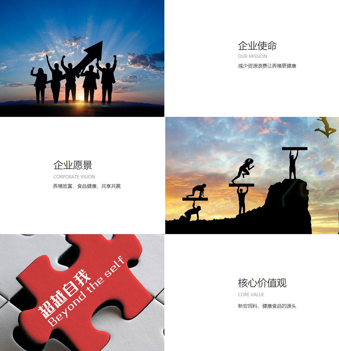fb体育网站(图1)